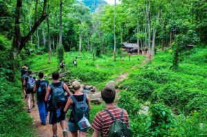 Ecotourism in Vietnam – Discover Pristine Nature and Biodiversity